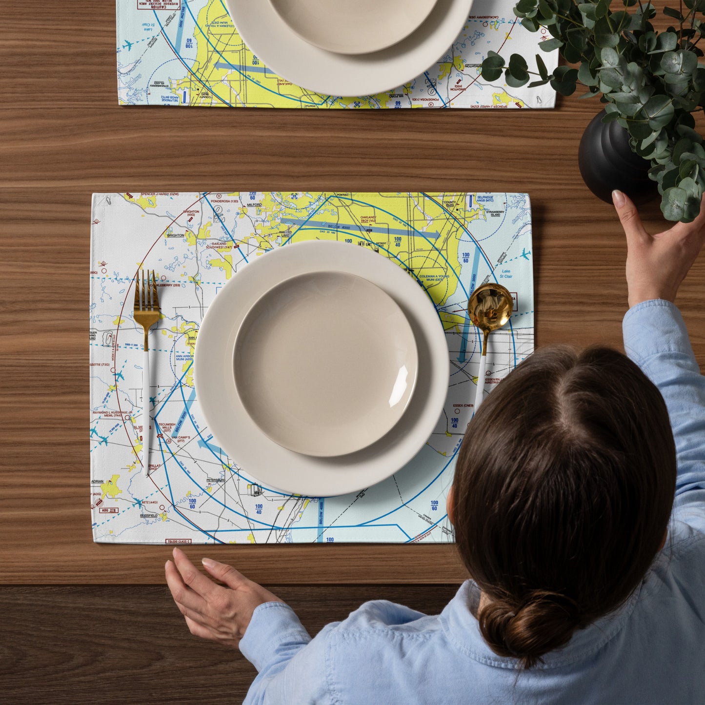 Detroit Flyway Chart kitchen placemat set of 4