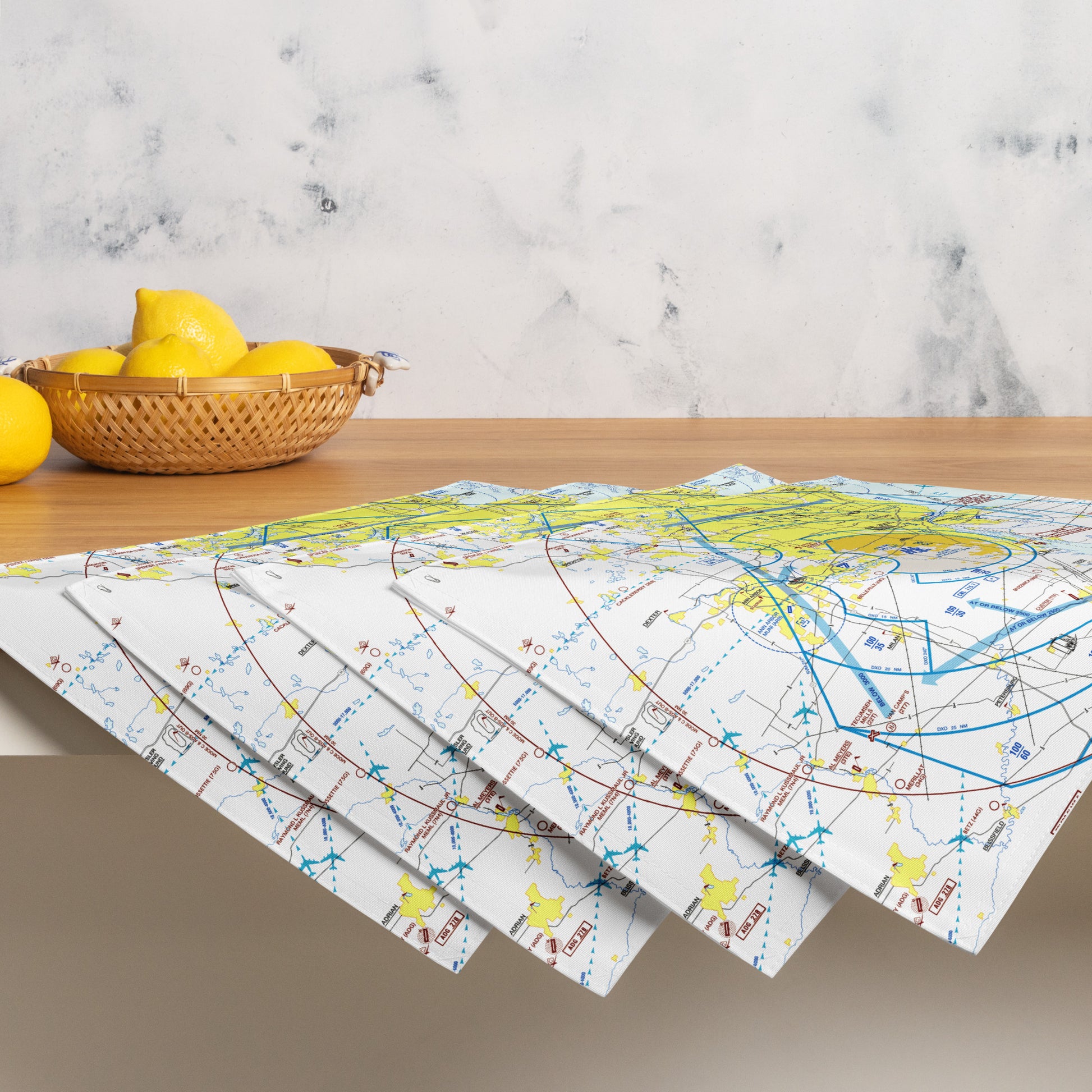 Detroit Flyway Chart kitchen placemat set of 4