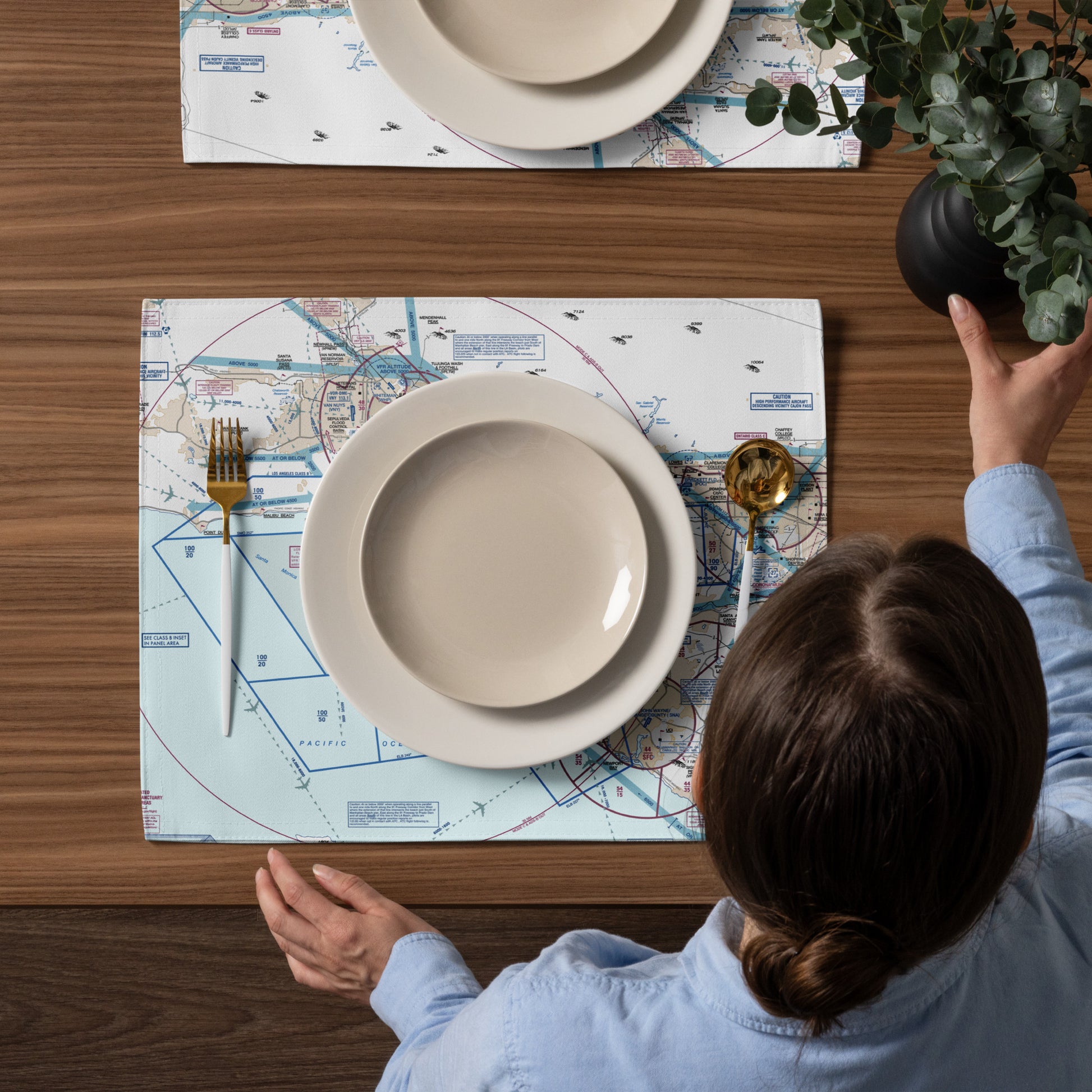 LAX Flyway Chart kitchen placemat set of 4