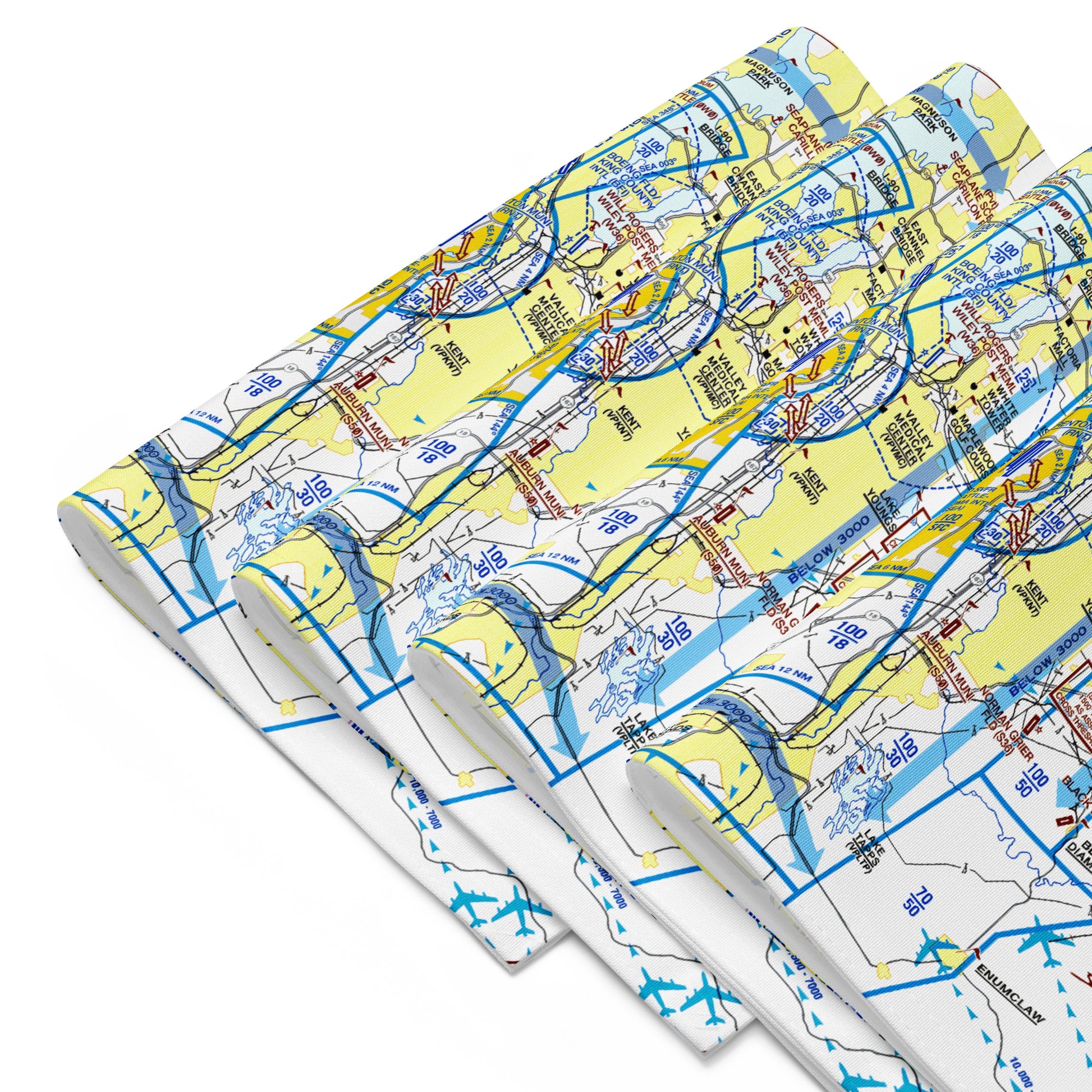 Seattle Flyway Chart kitchen placemat set of 4