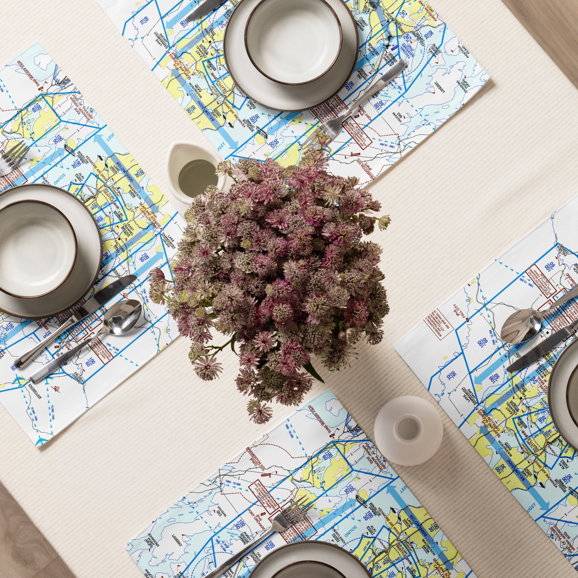 Seattle Flyway Chart kitchen placemat set of 4
