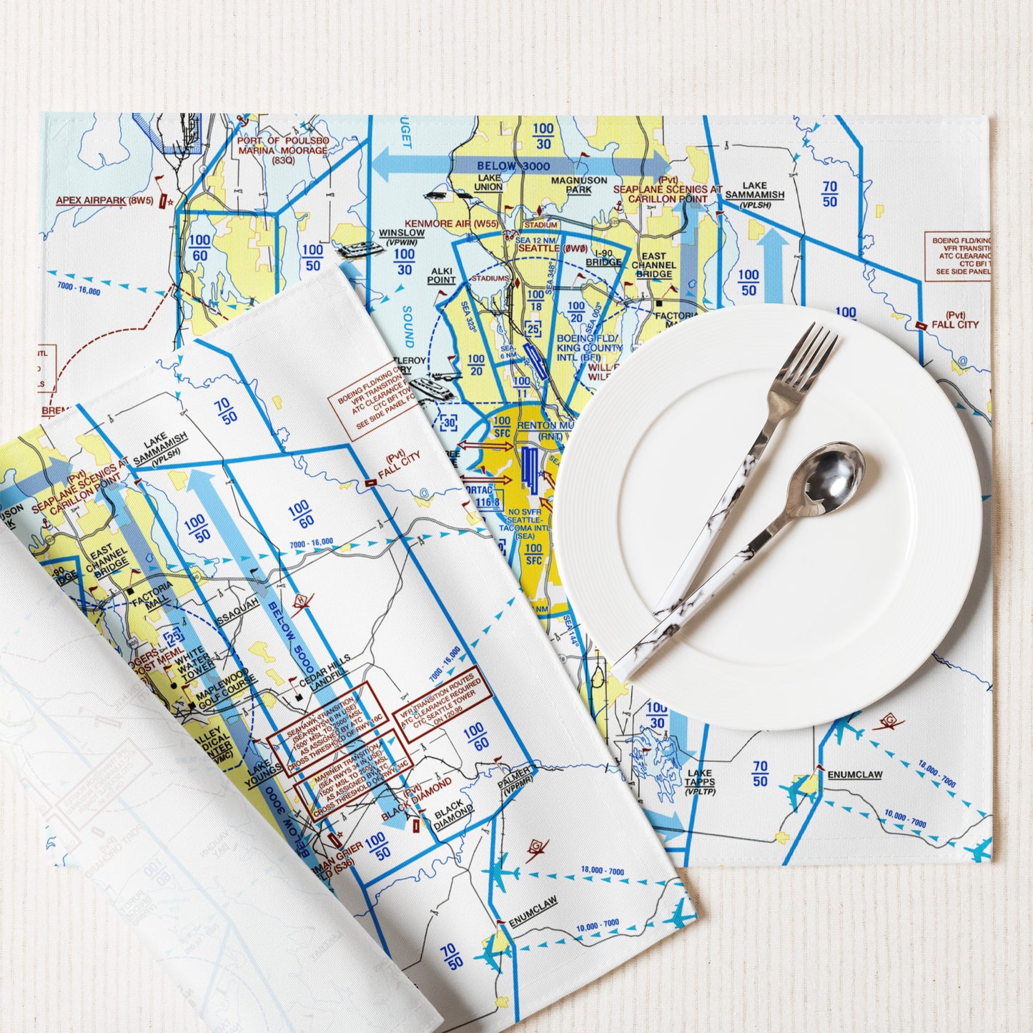 Seattle Flyway Chart kitchen placemat set of 4
