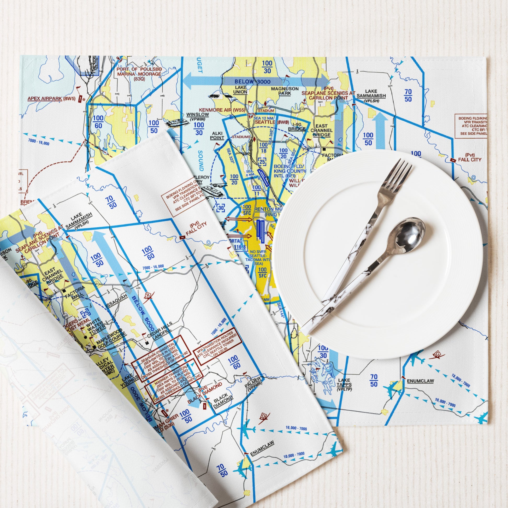 Seattle Flyway Chart kitchen placemat set of 4