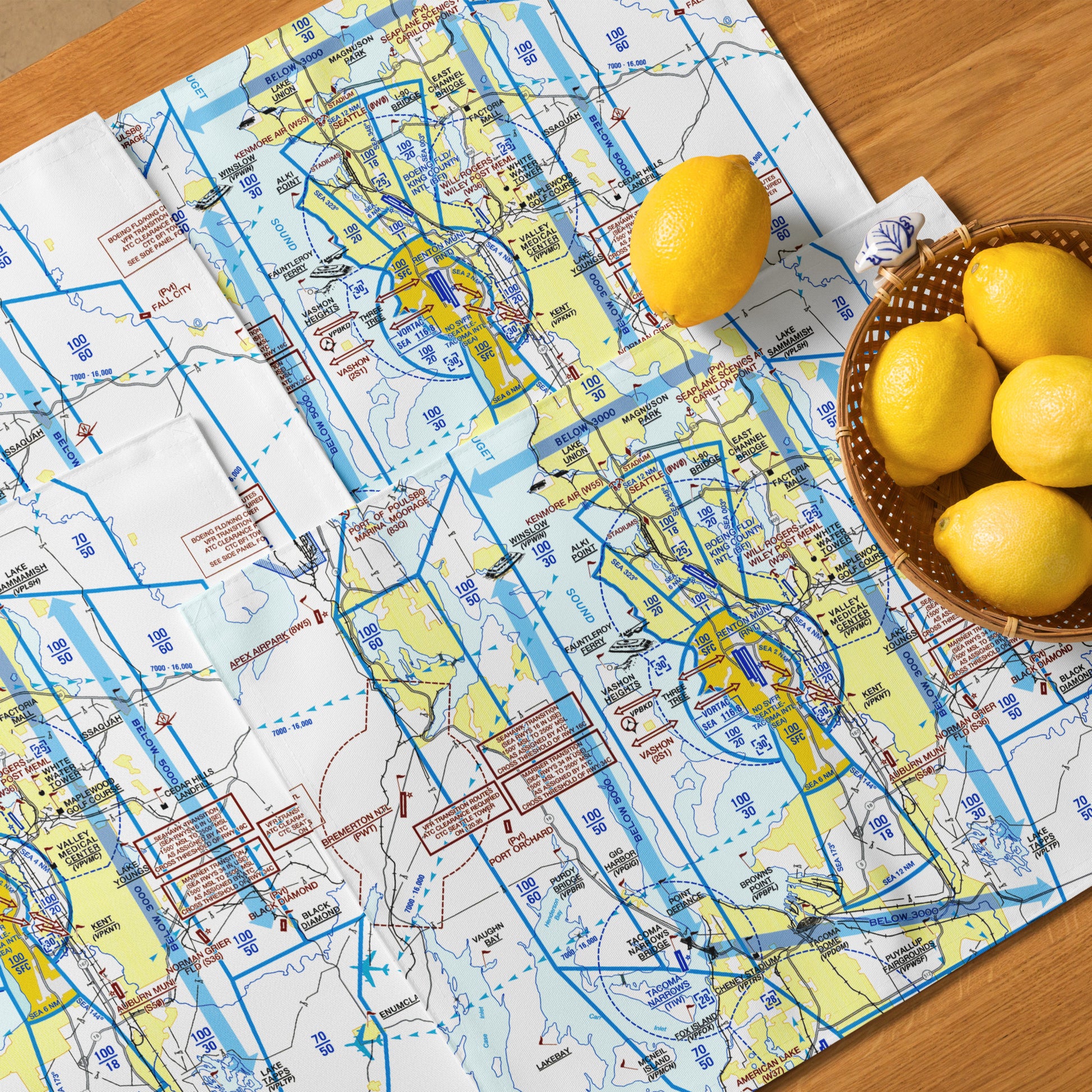 Seattle Flyway Chart kitchen placemat set of 4