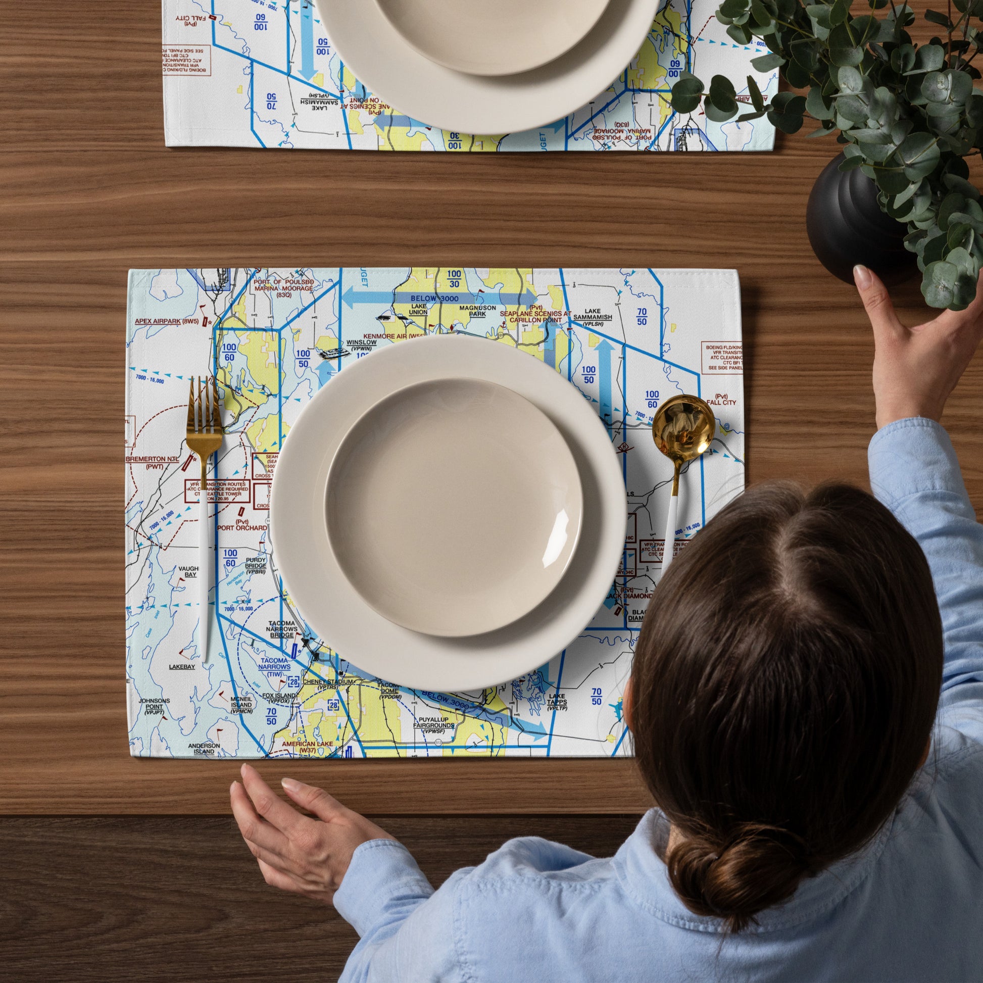 Seattle Flyway Chart kitchen placemat set of 4
