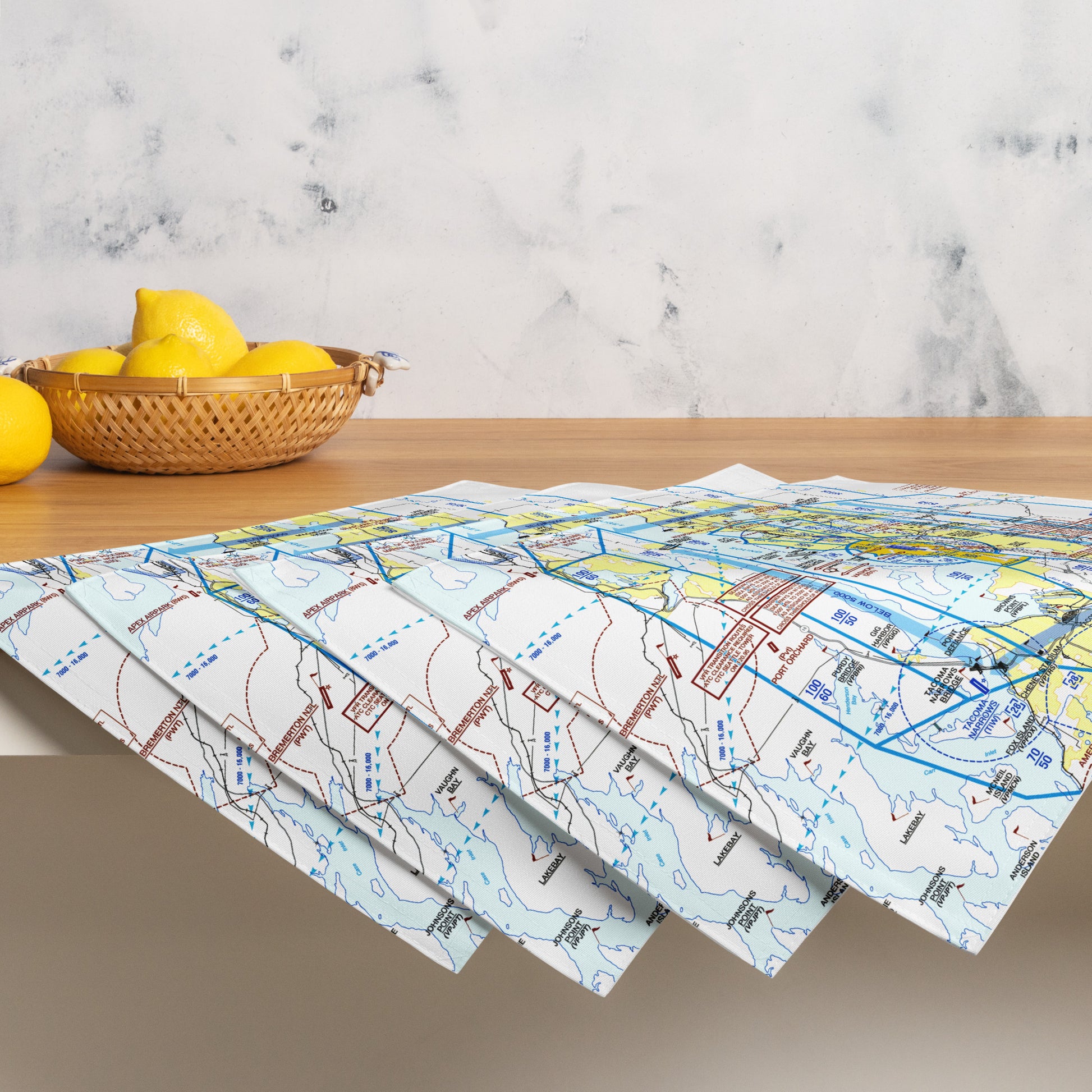 Seattle Flyway Chart kitchen placemat set of 4