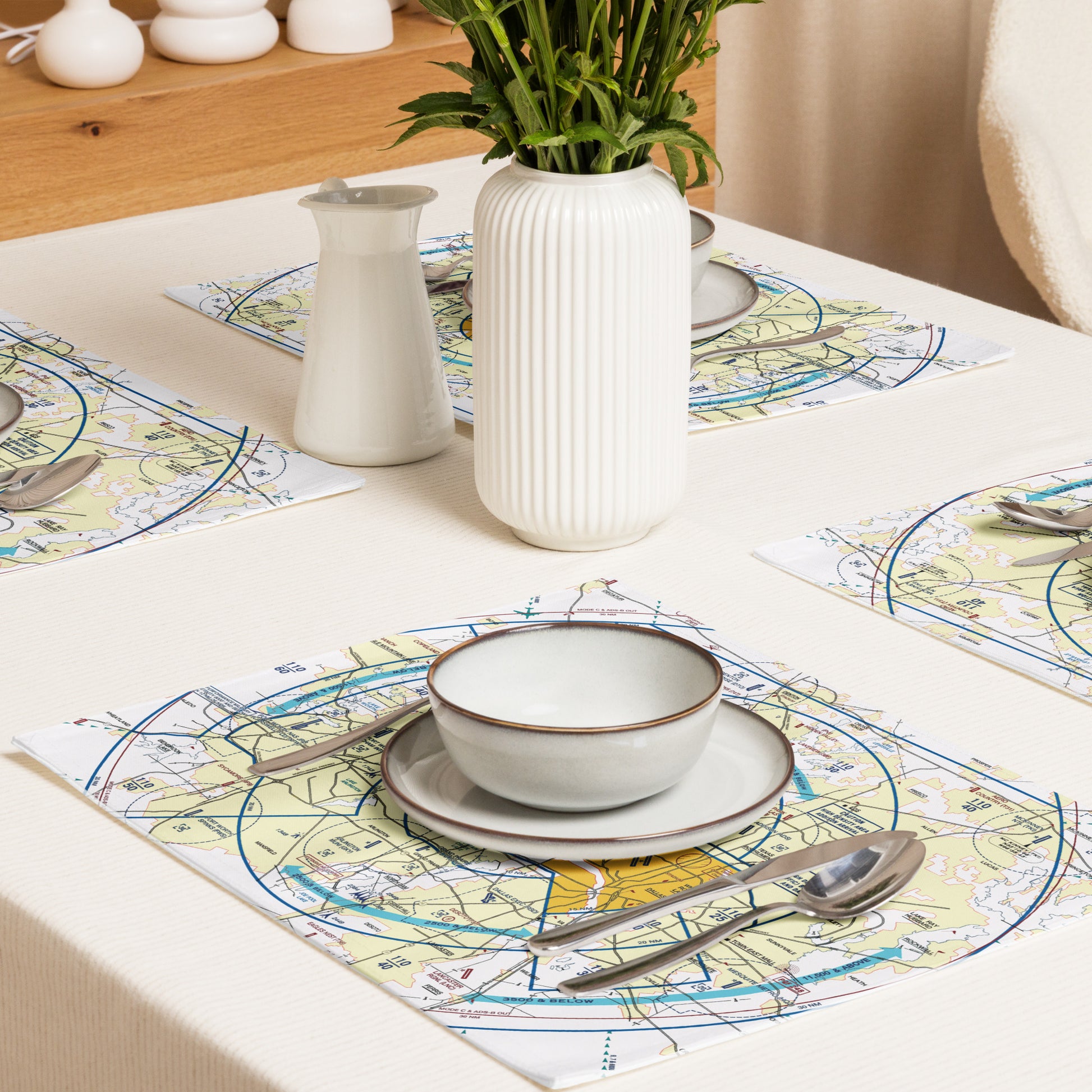 Dallas - Ft. Worth Flyway Chart kitchen placemat set of 4