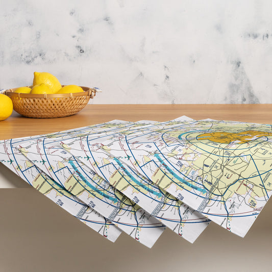 Dallas - Ft. Worth Flyway Chart kitchen placemat set of 4