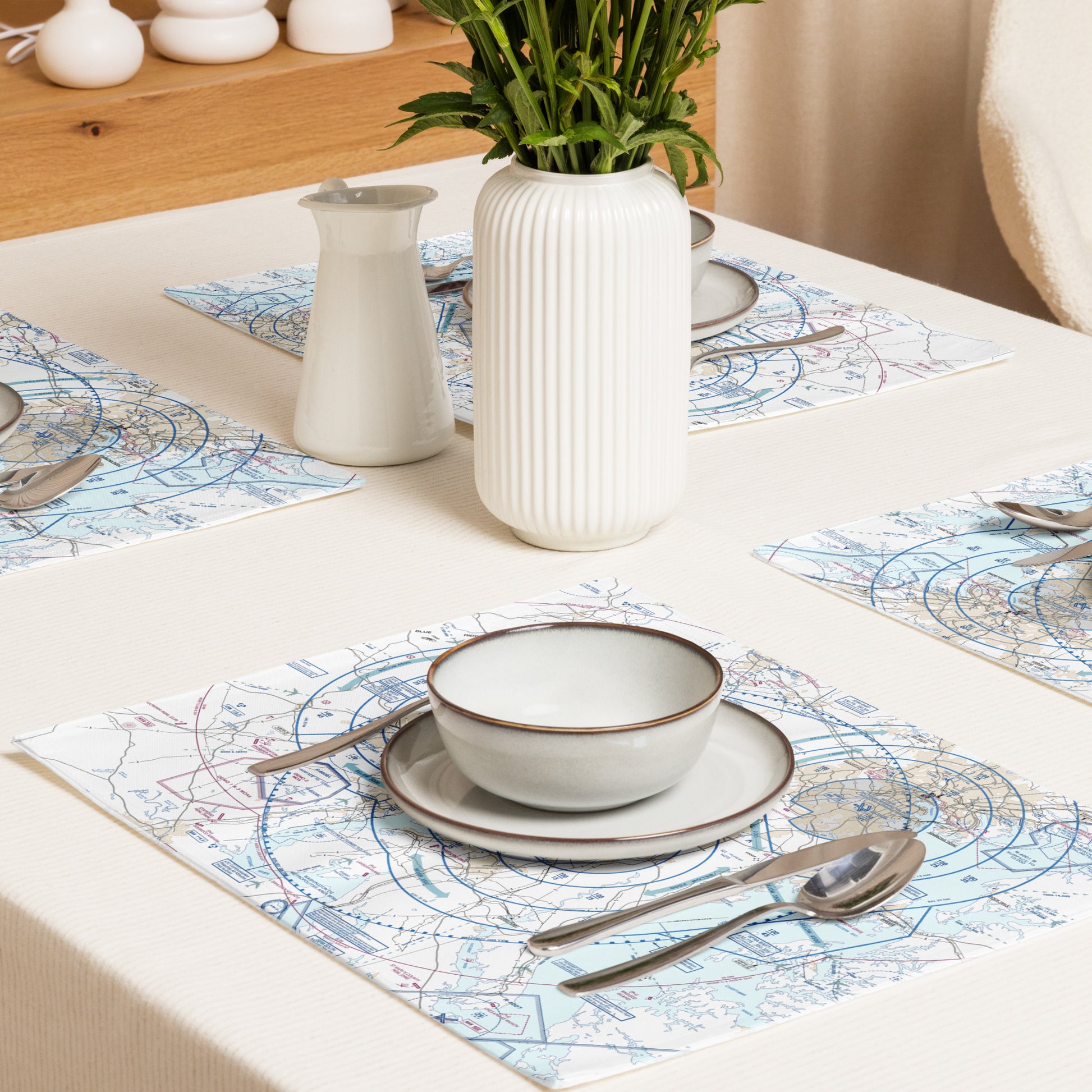 Baltimore-Washington Flyway Chart kitchen placemat set of 4