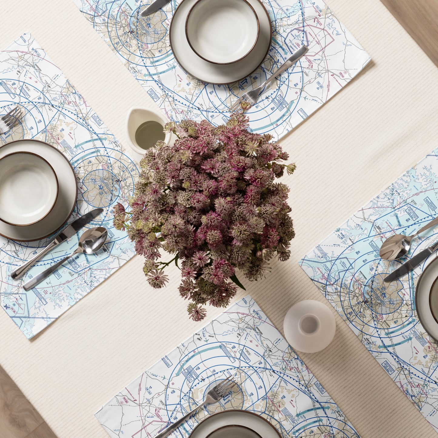 Baltimore-Washington Flyway Chart kitchen placemat set of 4