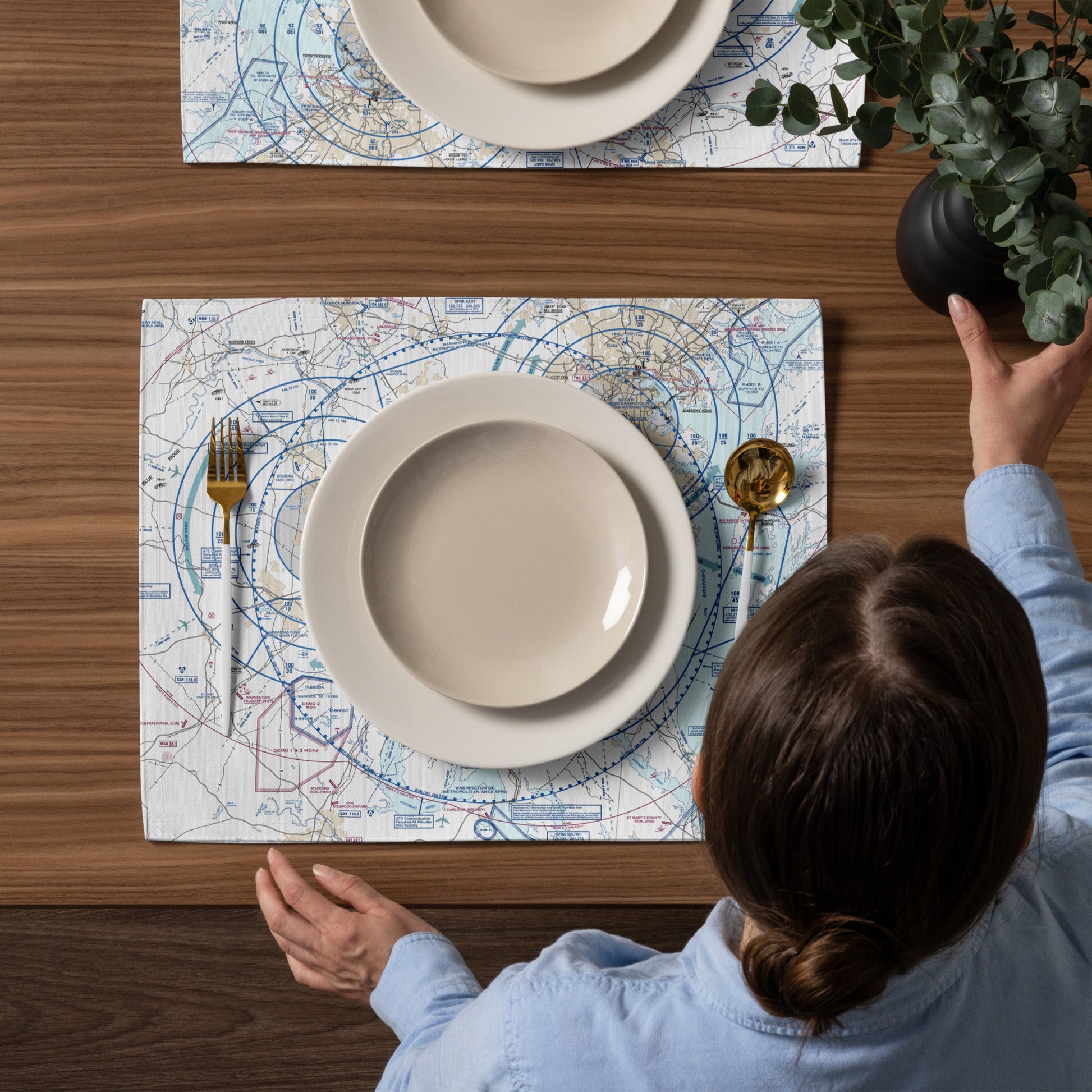 Baltimore-Washington Flyway Chart kitchen placemat set of 4