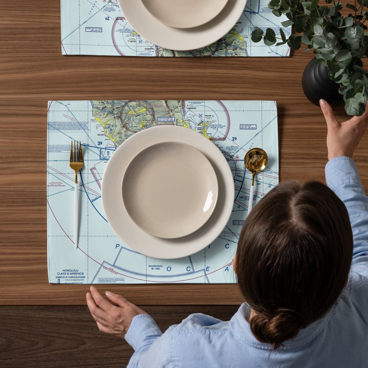 Honolulu Sectional Chart kitchen placemat set of 4