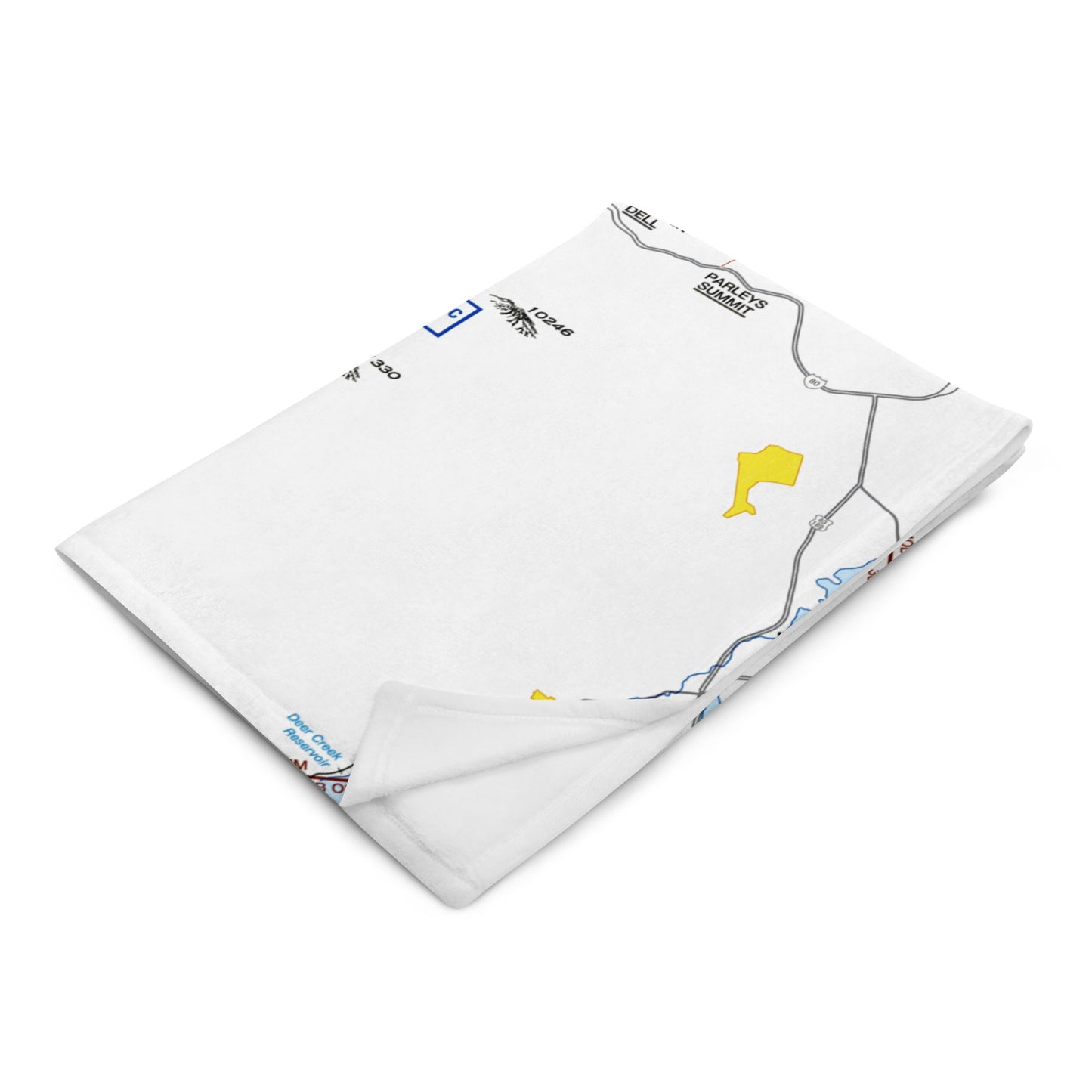 Salt Lake City Flyway Chart throw blanket