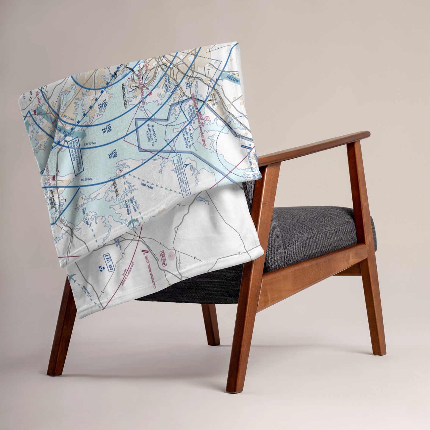 Baltimore-Washington Flyway Chart throw blanket