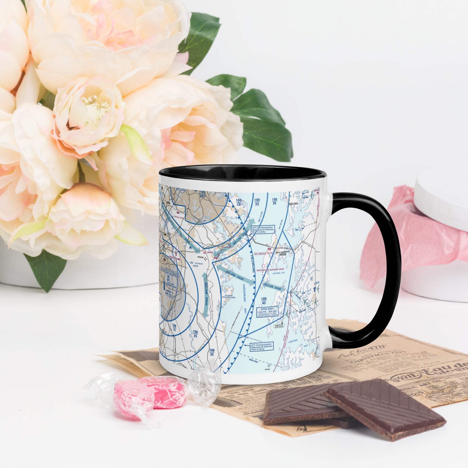Baltimore-Washington Flyway Chart 11 oz. mug with color inside