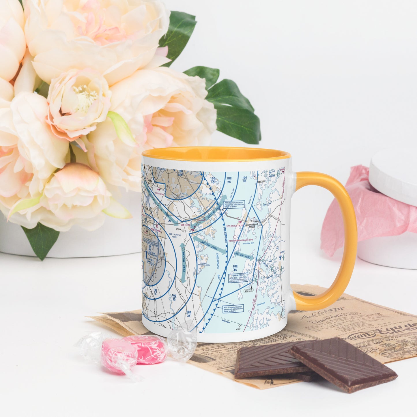 Baltimore-Washington Flyway Chart 11 oz. mug with color inside