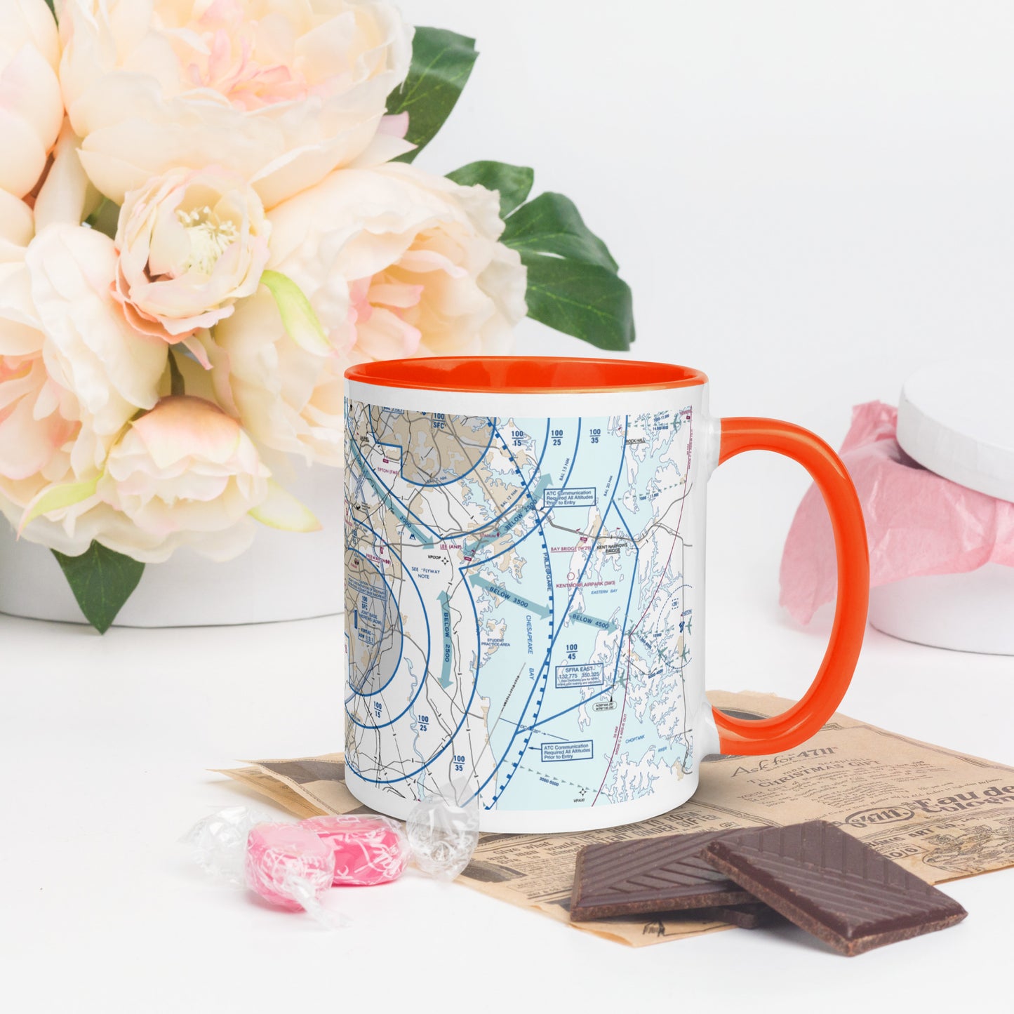 Baltimore-Washington Flyway Chart 11 oz. mug with color inside