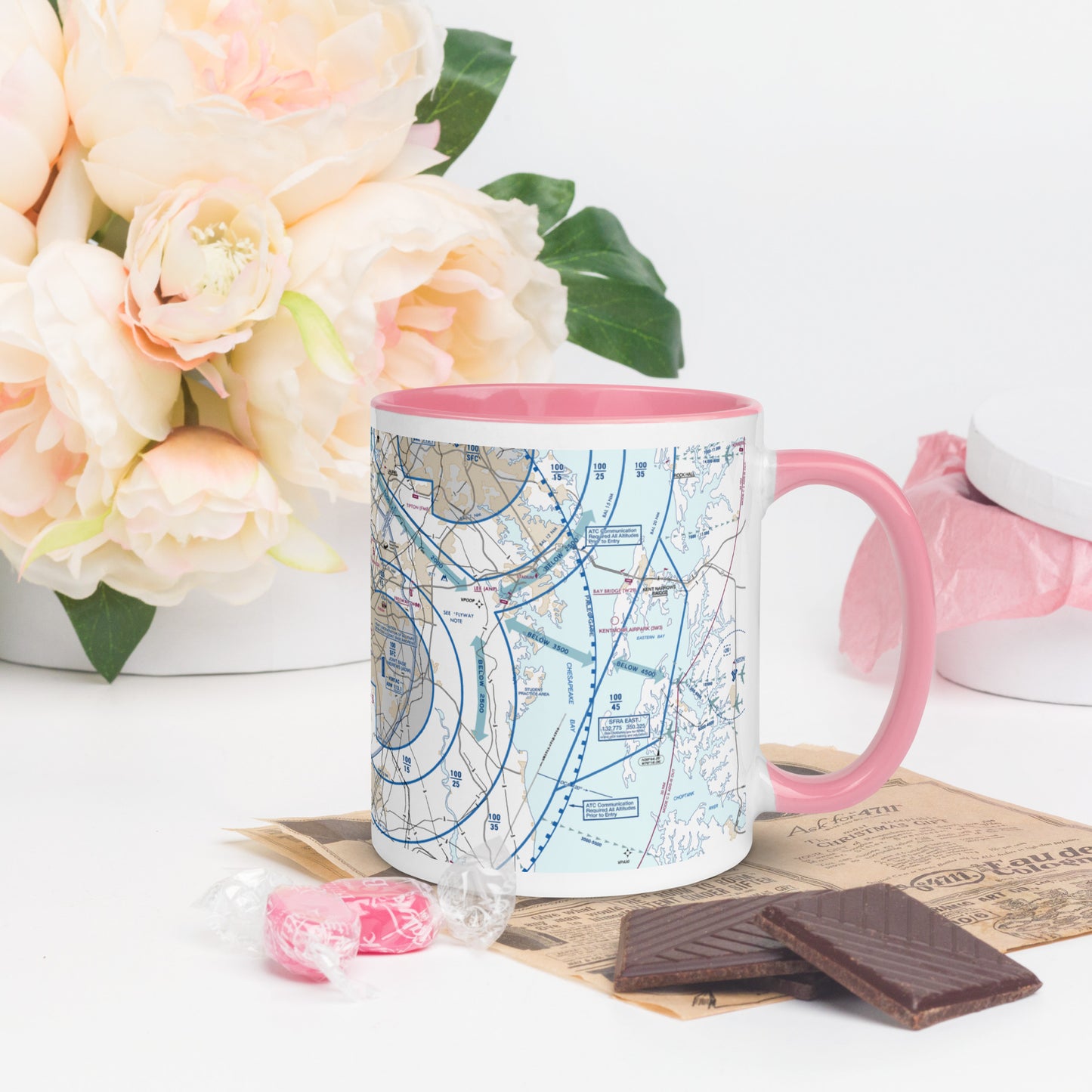 Baltimore-Washington Flyway Chart 11 oz. mug with color inside