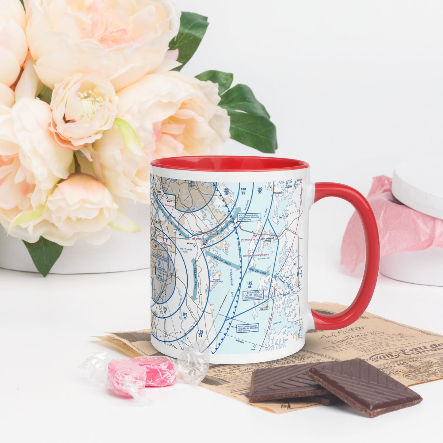 Baltimore-Washington Flyway Chart 11 oz. mug with color inside