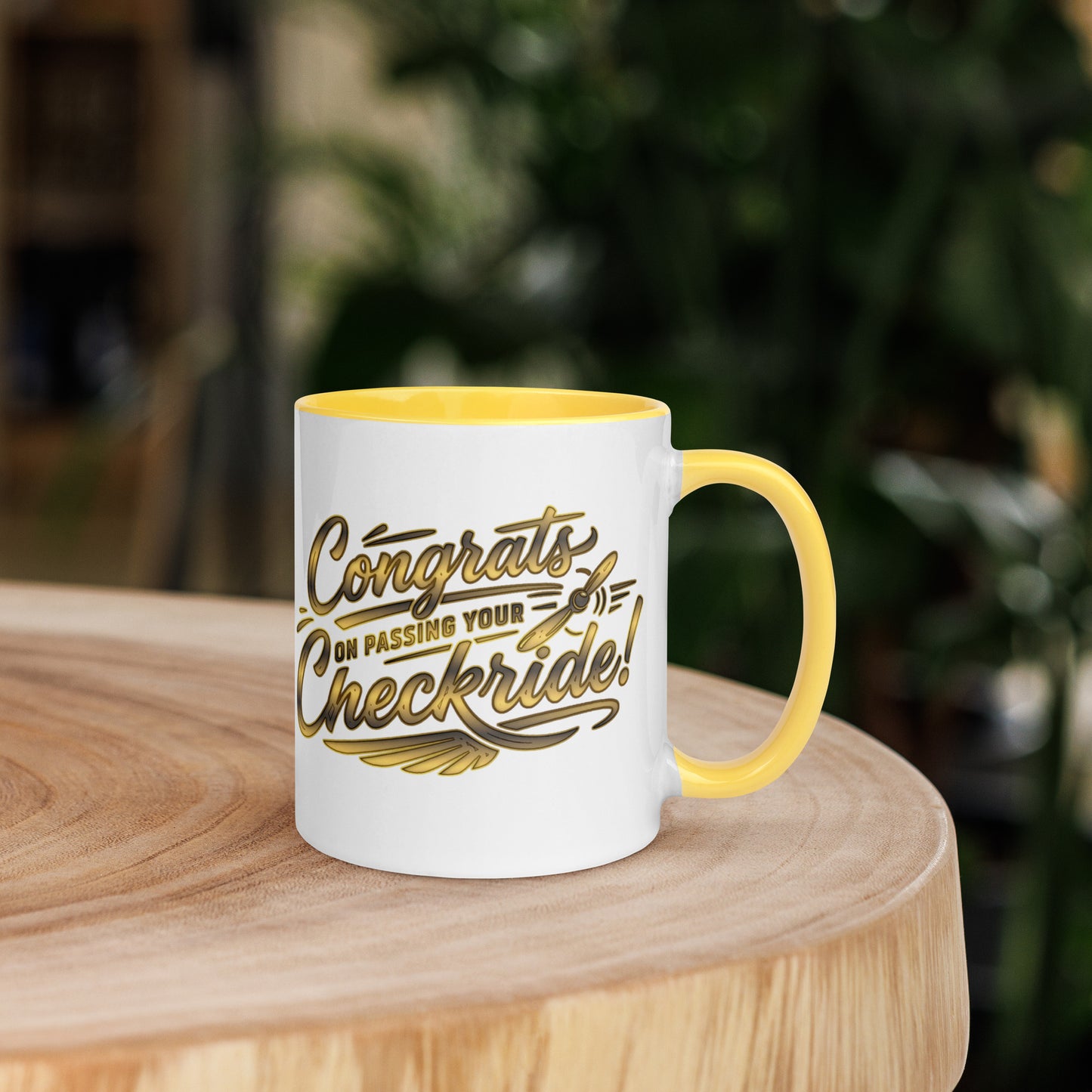Congrats on passing your checkride! (v4. gold) 11 oz. mug with color inside