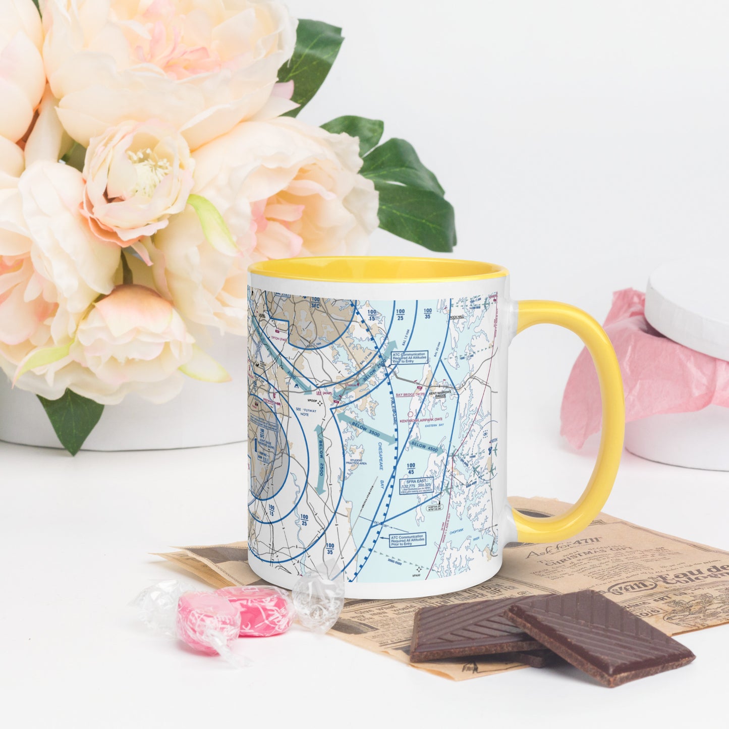 Baltimore-Washington Flyway Chart 11 oz. mug with color inside