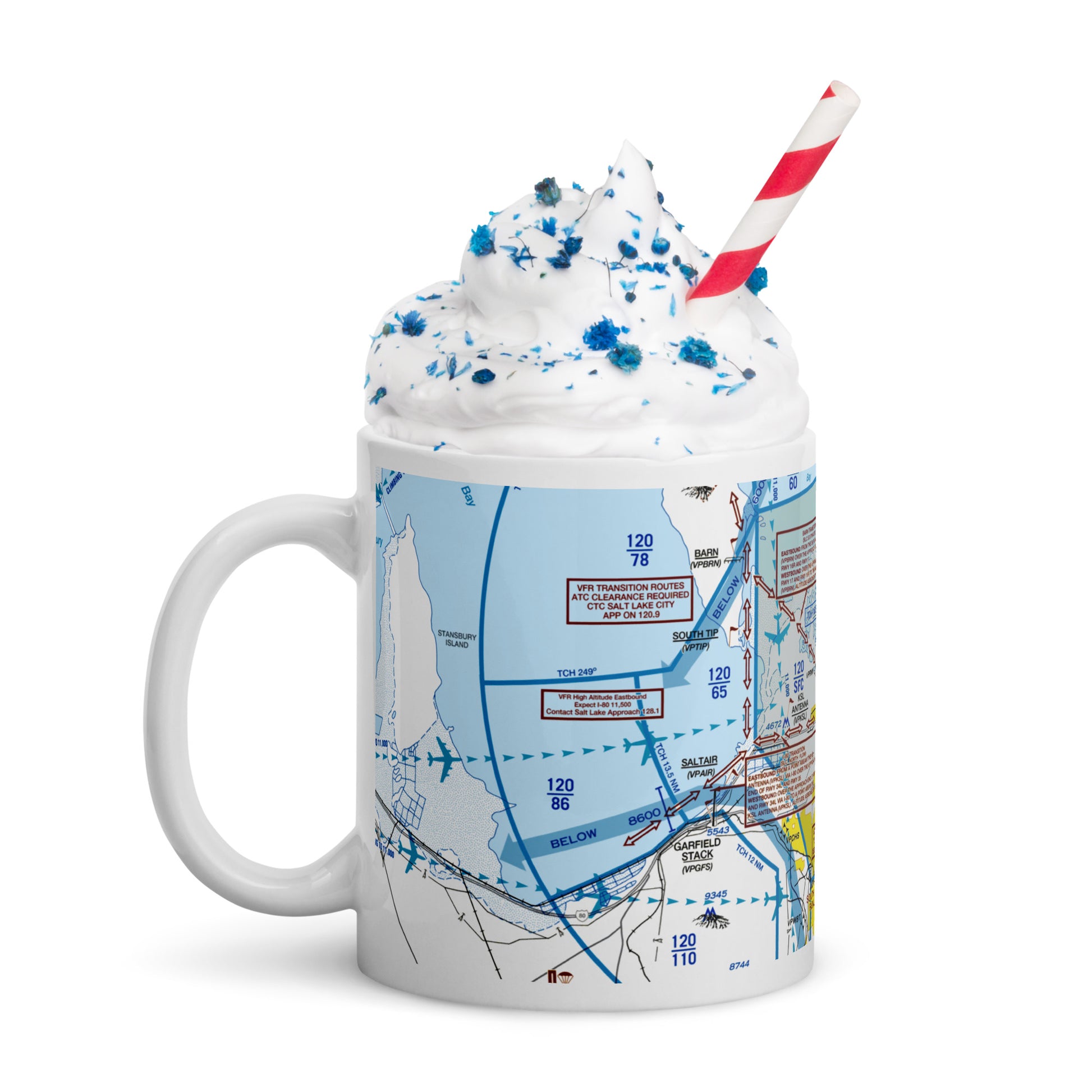 Salt Lake City Flyway Chart mug