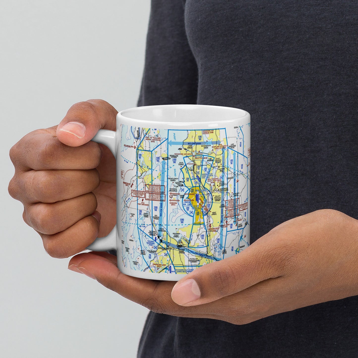 Seattle Flyway Chart 11 oz. mug