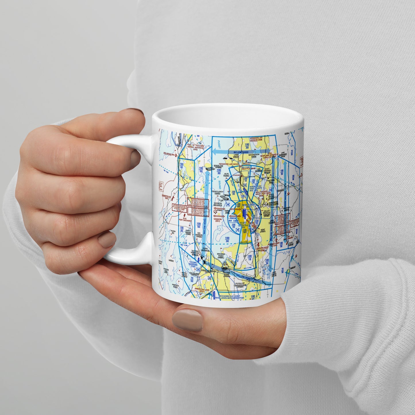 Seattle Flyway Chart 11 oz. mug
