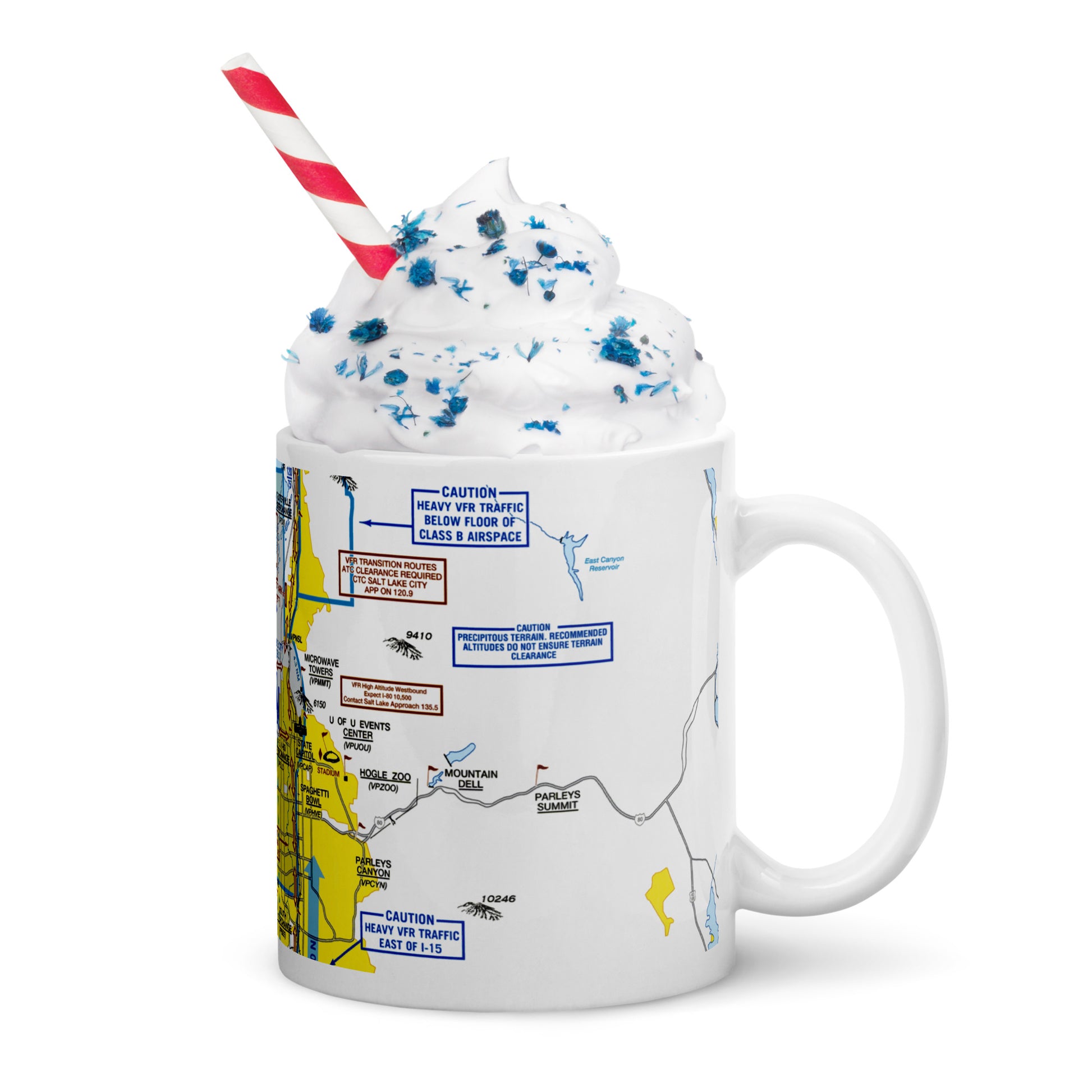 Salt Lake City Flyway Chart mug