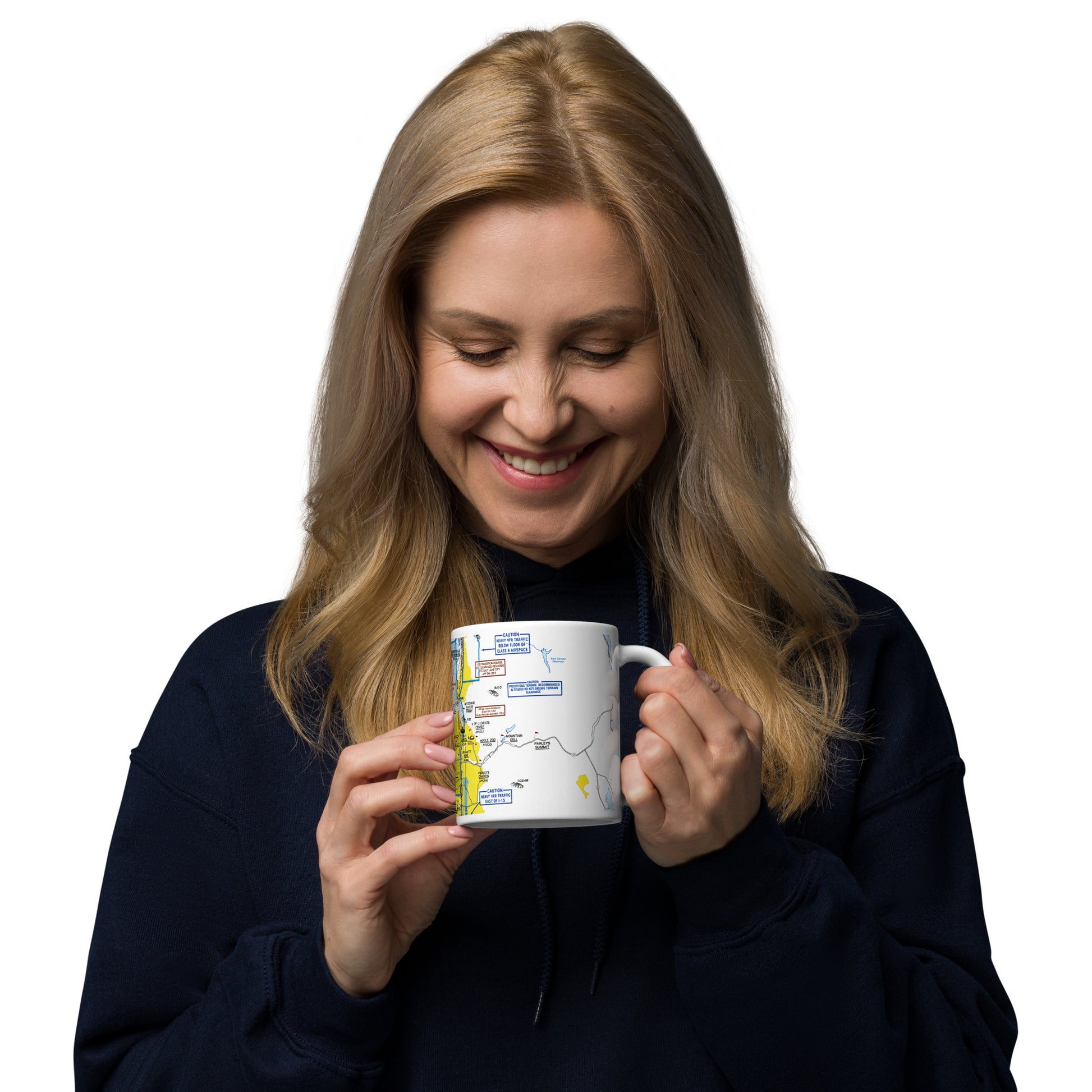 Salt Lake City Flyway Chart mug