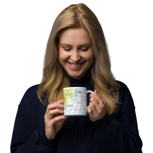Detroit Flyway Chart mug