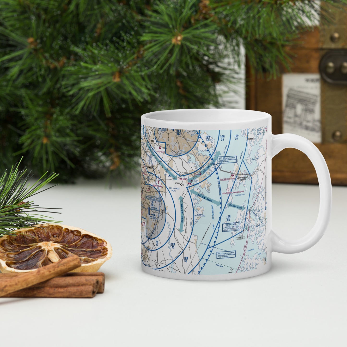 Baltimore-Washington Flyway Chart 11 oz. mug
