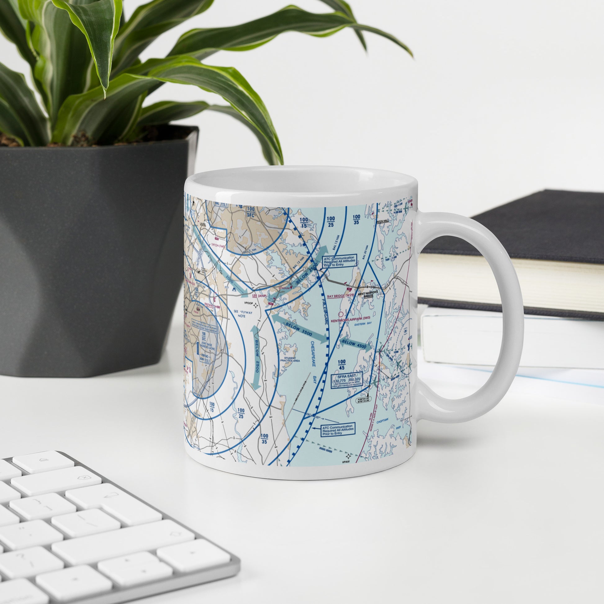 Baltimore-Washington Flyway Chart 11 oz. mug