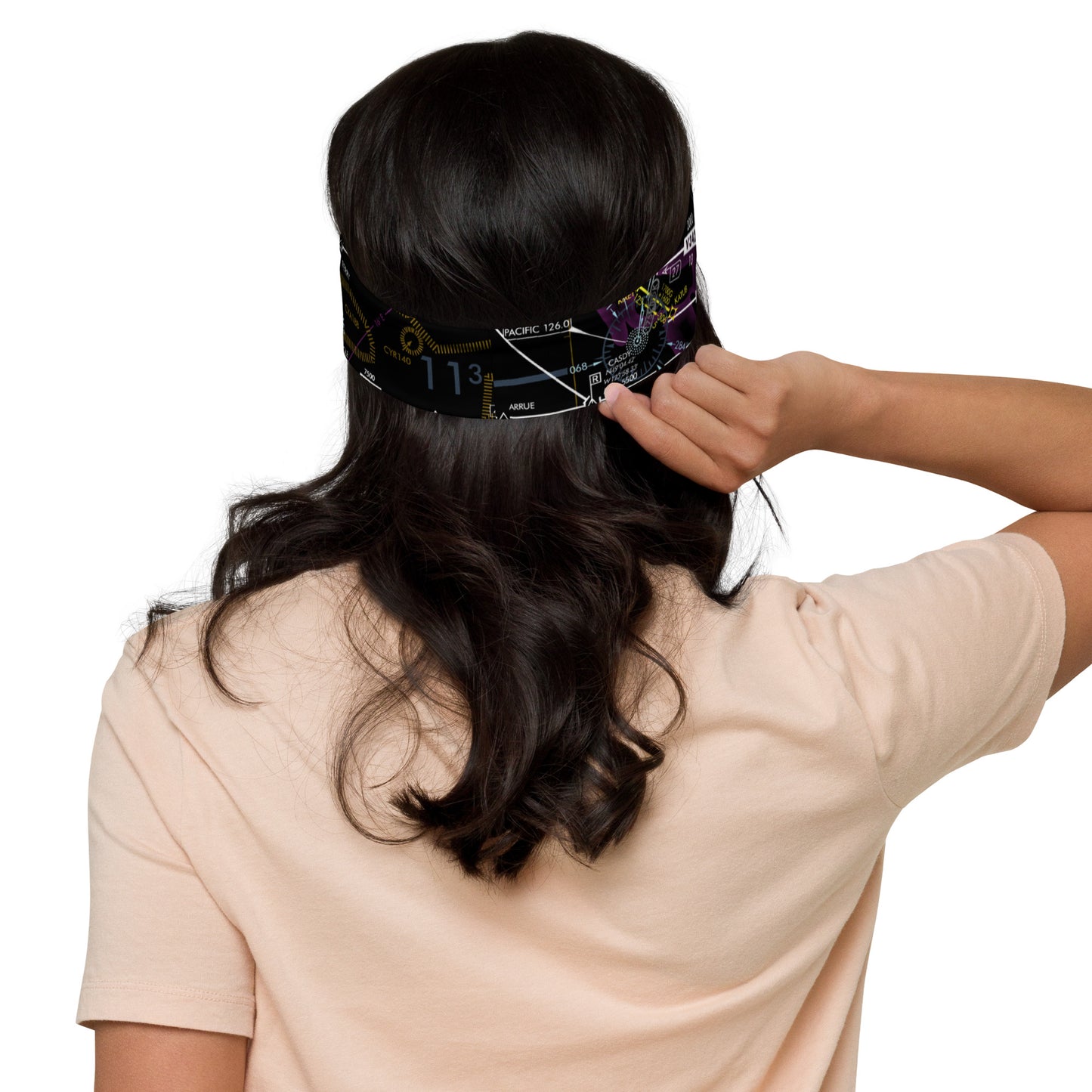 Enroute Low Altitude Chart - invert headband