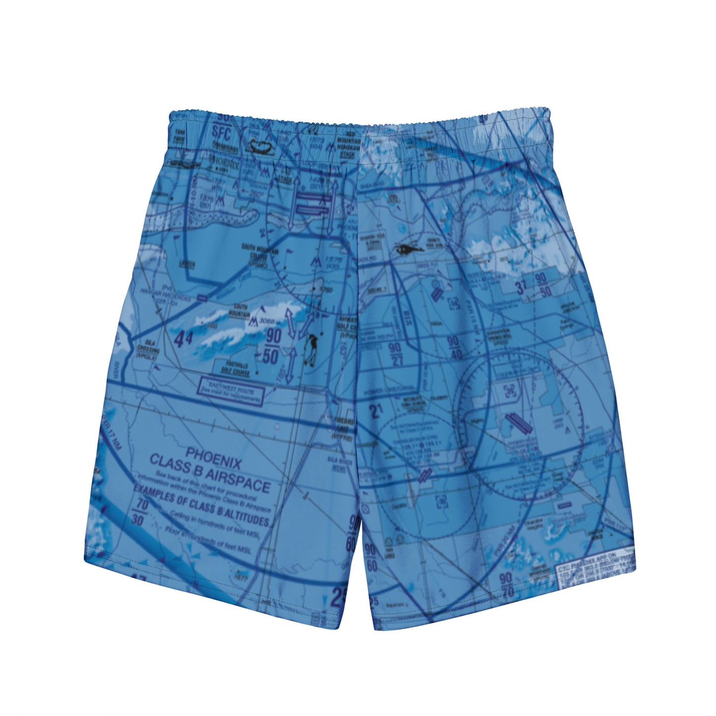 Phoenix TAC Chart men's swim trunks (blue)