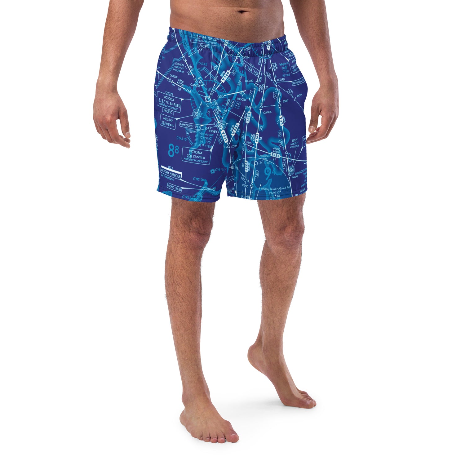 Enroute Low Altitude (ELUS1) Chart men's swim trunks (blue)