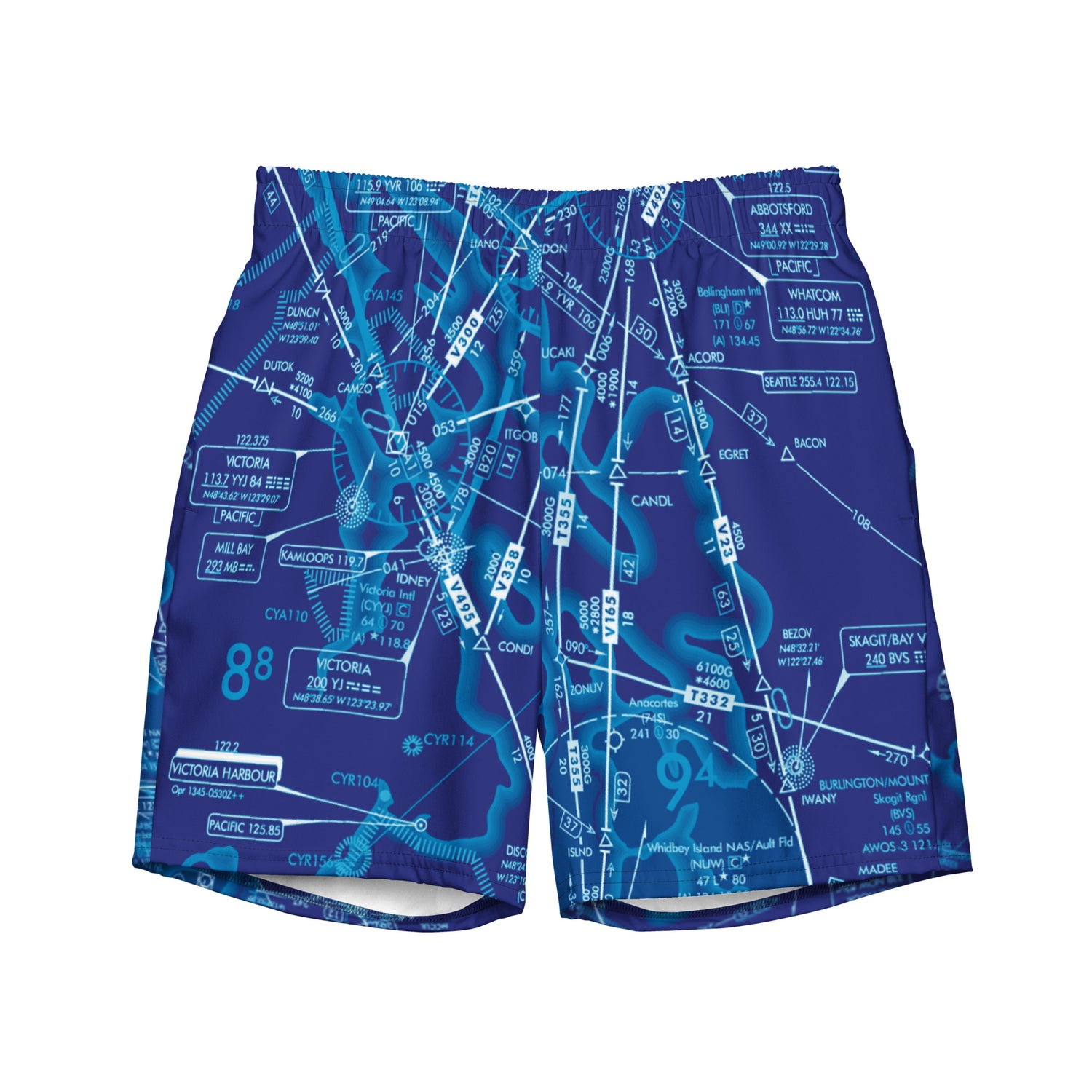Enroute Low Altitude (ELUS1) Chart men's swim trunks (blue)